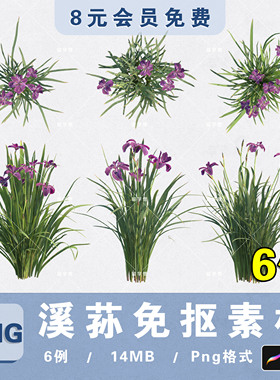 水生湿地植物溪荪花PNG高清免抠溪荪花平立面PS素材procreate贴图