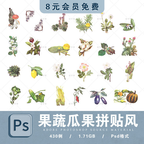复古拼贴蔬菜瓜果ps素材热带树叶森林蘑菇榛子浆果蔬菜植物水果