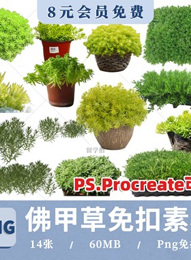 地被花境植物佛甲草盆栽PSD分层佛甲草植物png免抠procreate贴图