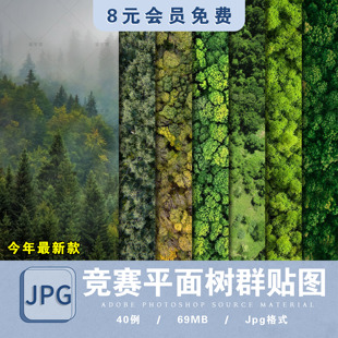 竞赛风平面树群ps贴图树丛植物鸟瞰杉林乔灌木草丛绿植物平面素材