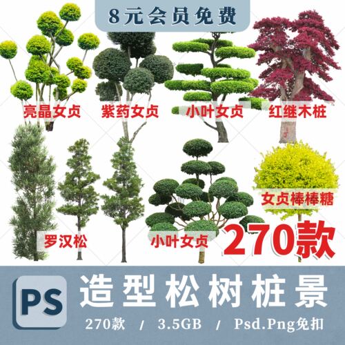 PS景观造型植物灌木球造型树迎客罗汉松桩景效果图png棒棒糖素材