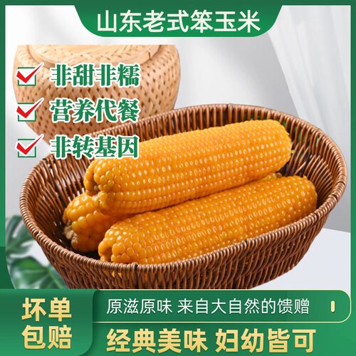 山东老式笨玉米不甜黏糯有嚼劲