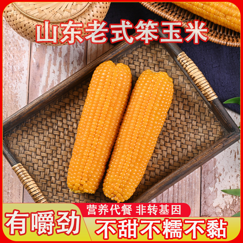 山东老式笨玉米不甜糯黏5斤装