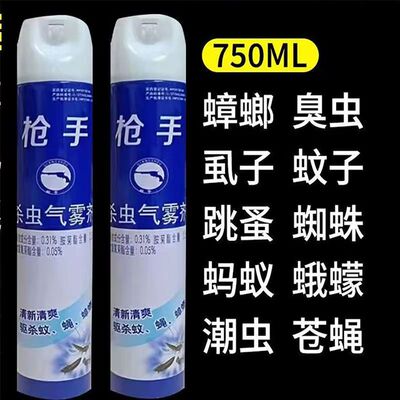 杀虫喷雾剂家用室内卧室杀苍蝇蚂蚁蚊子蟑螂气雾剂杀虫剂750毫升