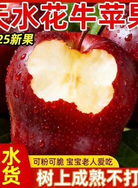 甘肃天水花牛苹果香甜粉面软糯花牛新鲜面苹果宝宝挂果泥粉面苹果