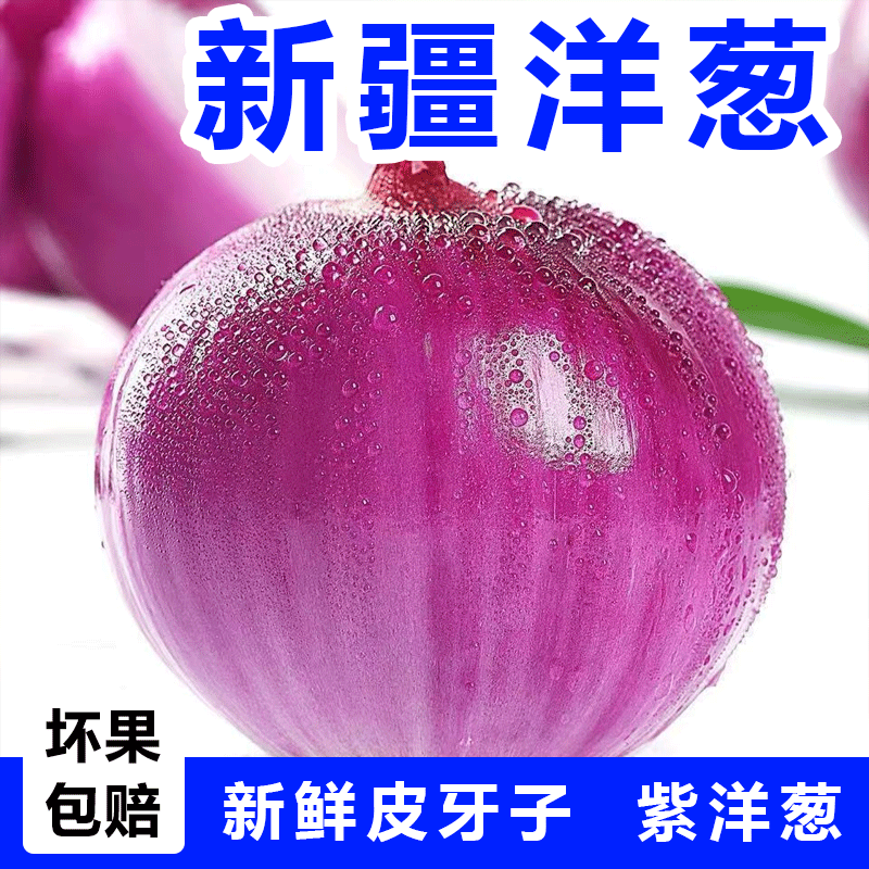 新疆紫洋葱凉拌生吃煲汤口感好