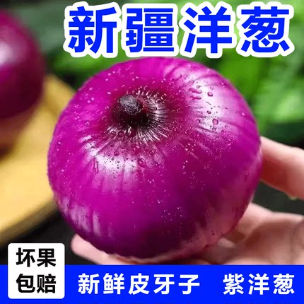 2025新疆紫皮洋葱皮牙子缸子肉手抓饭配菜红皮农家自种圆葱蔬菜