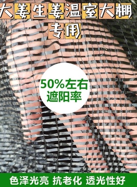 抗老化防晒网遮阳网平织平针黑色遮阳布大姜生姜大棚花卉育苗多肉