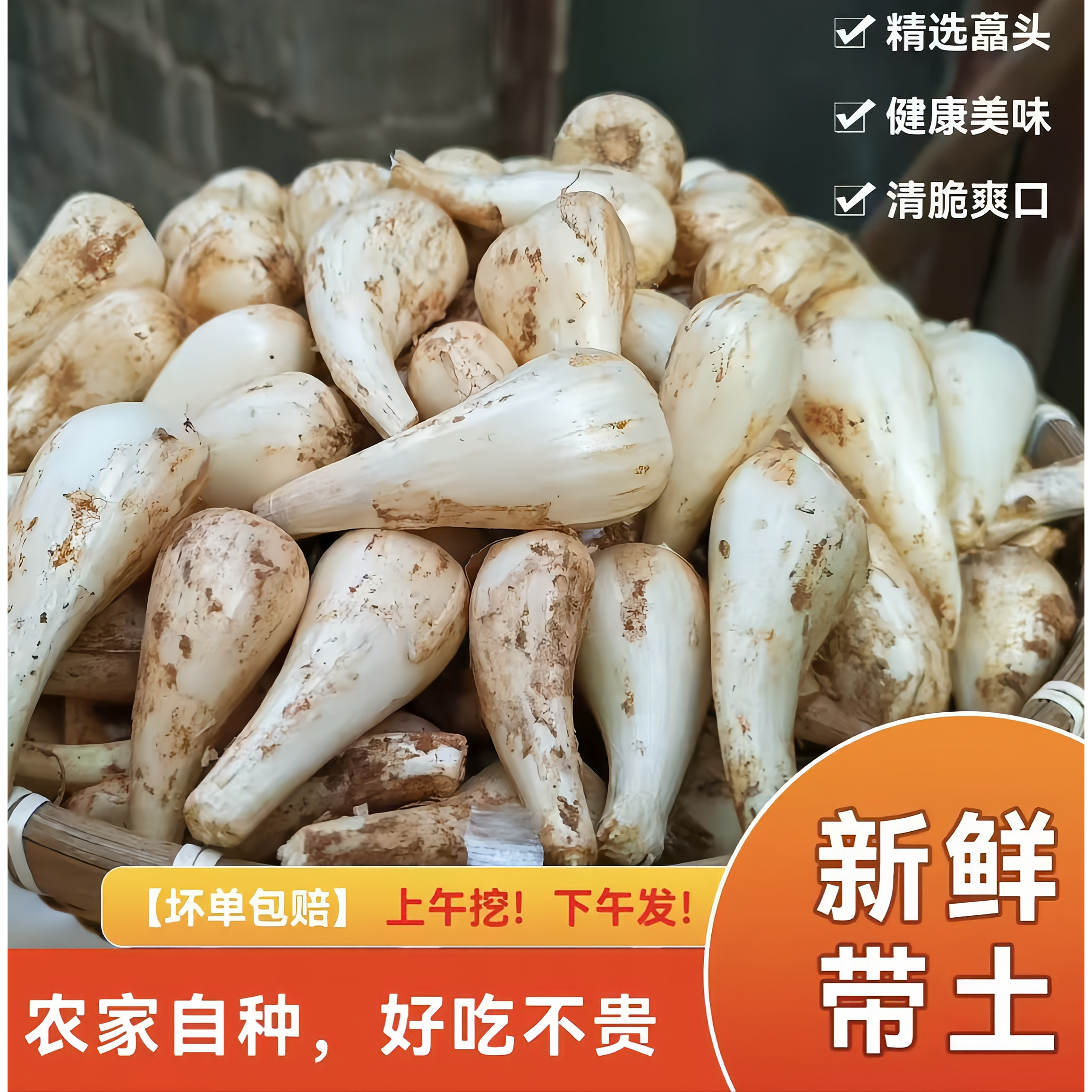 【江西荞头】新鲜藠头泡菜荞头农家叫头教头乔头糖醋腌制特产批发