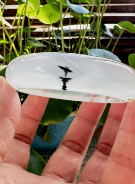 花语玉髓 天然海洋玉髓马料草花玛瑙意境玛瑙手镯圈口53.5mm