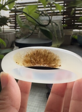 花语玉髓 天然海洋玉髓马料草花金发丝玛瑙手镯圈口55mm
