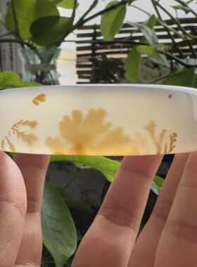 花语玉髓 天然海洋玉髓马料高冰油润草花玛瑙方镯58.5mm