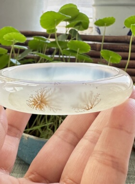 花语玉髓 天然海洋玉髓马料高冰完整绽放草花玛瑙手镯圈口59.5mm