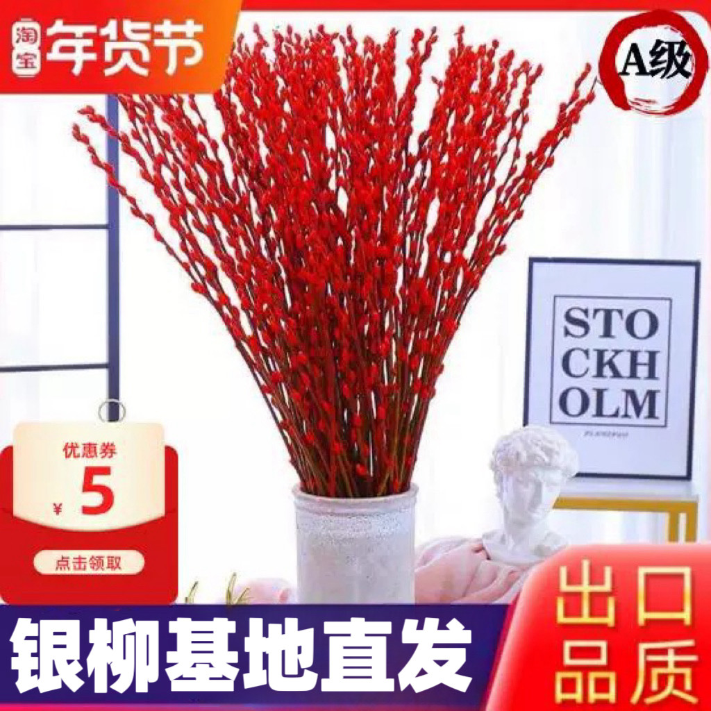 银柳真花鲜枝新年宵花卉盆栽红色干花福桶室内花绿植物雪柳干枝支