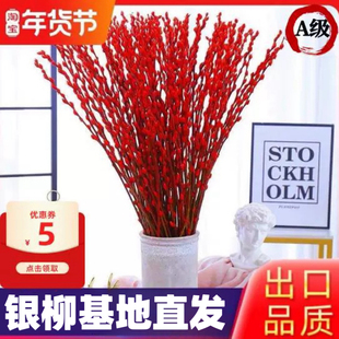 银柳真花鲜枝新年宵花卉盆栽红色干花福桶室内花绿植物雪柳干枝支