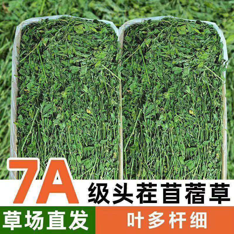 25年紫花苜蓿草毛重1kg兔粮苜蓿龙猫粮草荷兰猪豚鼠干草饲料,宠物/宠物食品及用品,兔兔干草,淘宝优惠券,粉丝福利购,淘宝优惠卷