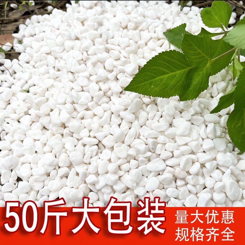 50斤白色鹅卵石铺路庭院铺地石头