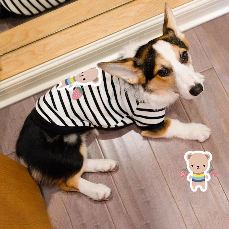 柯基狗狗衣服春秋薄款小型中型犬春季春天防掉毛宠物条纹秋季卫衣