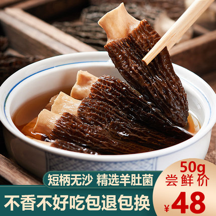 云南特产新鲜剪柄羊肚菌干货羊肚菌菇50g非特级500g汤料包