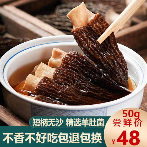 云南特产新鲜剪柄羊肚菌干货菌菇