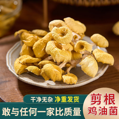当季新货鸡油菌黄金菇庆元土特产