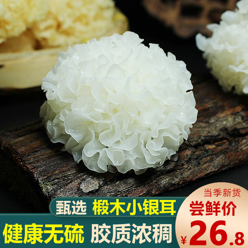 新古田农家小银耳干货无硫好出胶