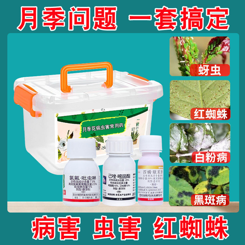月季花病虫害常用药玫瑰花红蜘蛛专用药黑斑病防白粉病蚜虫杀虫剂