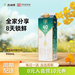 一次性配送 西湖牌原生高钙鲜牛奶950mL 杭州送奶到户