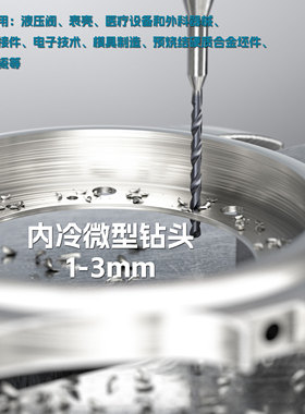 走心机小零件微小孔内冷合金钻头862.1-A1-GM X2BL X2BM不锈钢等