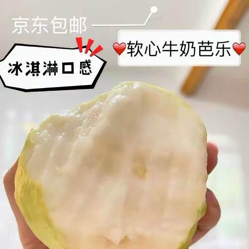 福建京东包邮软心番石榴白心5斤新鲜水果软糯香甜自然成熟芭乐果