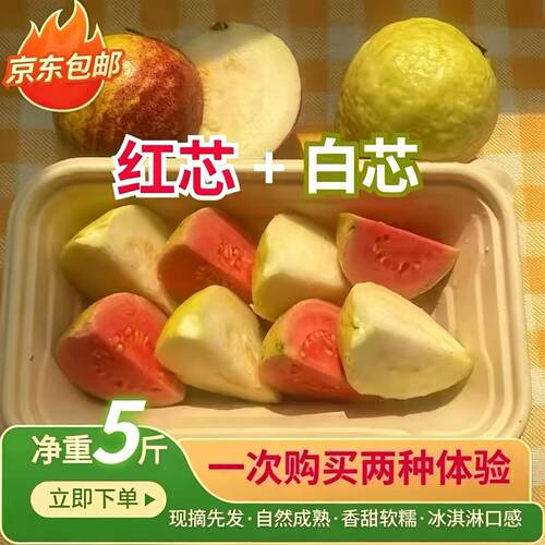 福建漳州新鲜应季水果番石榴双拼组合软糯牛奶芭乐京东包邮
