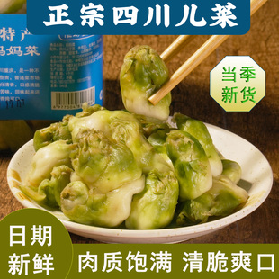 观音菜妈妈菜常州特产开味下饭菜儿子菜腌泡菜咸鲜可口农家即食