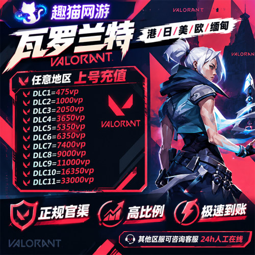 瓦罗兰特国际服VP点数全服充值