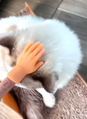 逗猫玩具比心可爱小网红手指套小手中指模型拳头撸猫创意整蛊搪胶