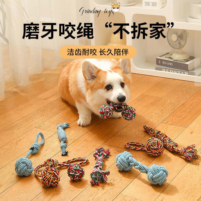 狗狗彩虹棉绳耐咬磨牙玩具套装