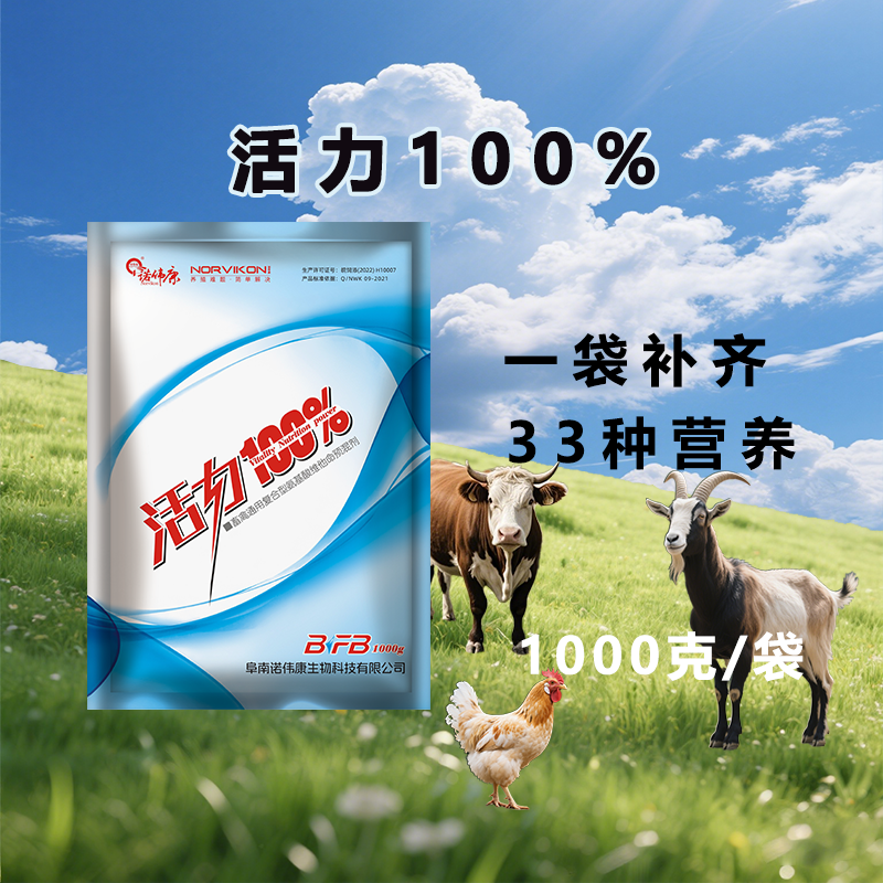 诺伟康 活力100兽用电解多维蛋鸡鸡复合多种微量维生素鸡鸭猪牛羊