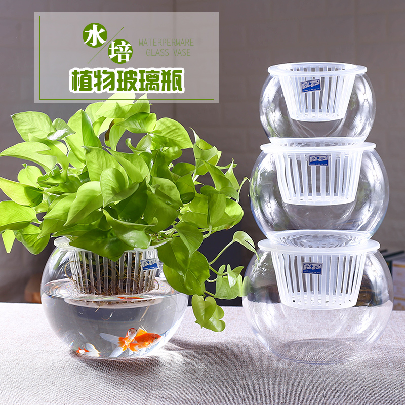 水培植物玻璃瓶 水培绿萝花瓶花盆玻璃圆球水养鱼缸器皿容器