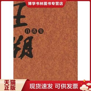正版现货9787222041219王朔自选集  王朔著  云南人民出版社