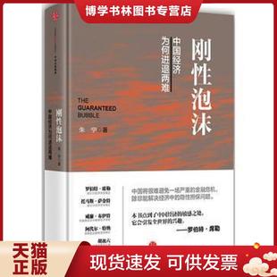 正版现货9787508656885刚性泡沫  朱宁  中信出版集团股份有限公司