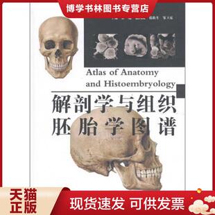 辽宁科技 霍琨徐国成韩秋生邹卫东... 正版 现货9787538171389解剖学与组织胚胎学图谱