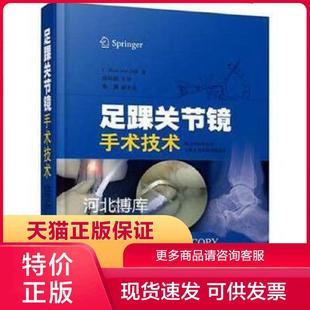 现货9787547825877足踝关节镜手术技术 上海科学技术出版 荷 八九成新笔迹 社 范戴克 正版