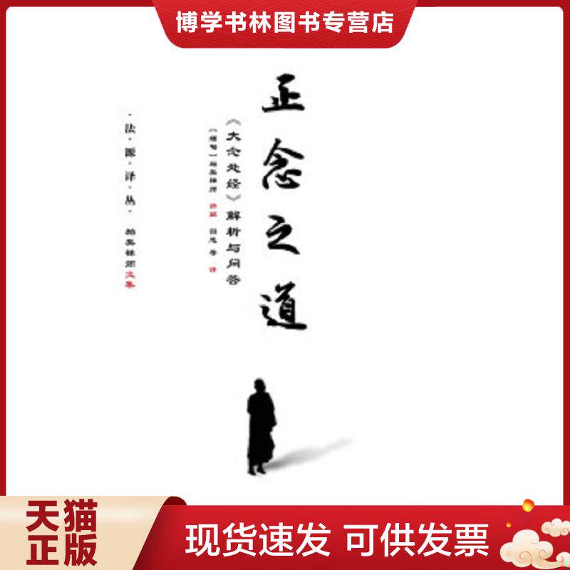 正版现货9787509771938正念之道:《大念处经》解析与问答 帕奥禅师园慈 社会科学文献出版社