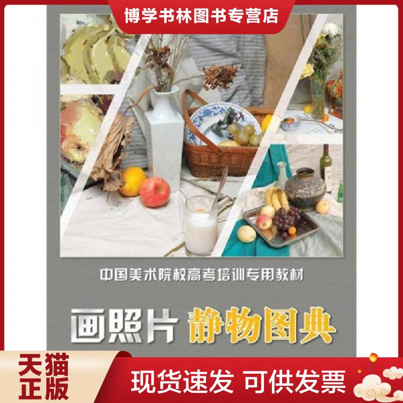 正版现货9787535653826 中国美术院校高考培训专用教材：画照片 静物图典  赵锦杰  湖南美术出版社
