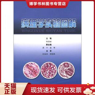 正版现货9787547814406病理学实验图解  何彦丽  上海科学技术出版社