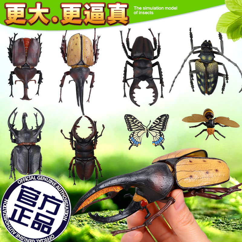 ºûµûòßòÑ