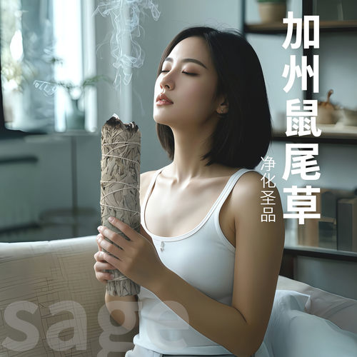 加州鼠尾草烟熏捆装天然植物叶子