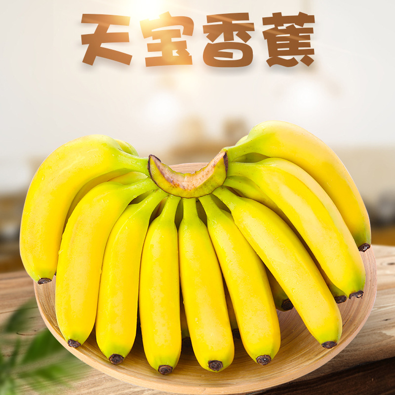 福建漳州天宝香蕉3/5斤新鲜应当季香甜软糯水果皮薄肉厚实惠整箱