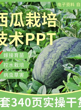 西瓜种植技术PPT课件高产设施栽培嫁接育苗授粉施肥病虫害幻灯片