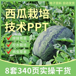 西瓜种植技术PPT课件高产设施栽培嫁接育苗授粉施肥病虫害幻灯片