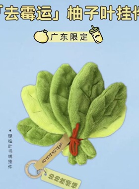 新款【去霉运】柚子叶挂件好运挂